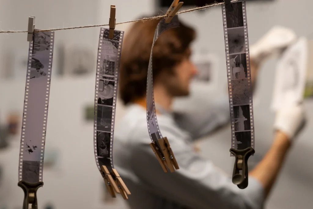 Daguerreotypes, Calotypes, And Wet Plates